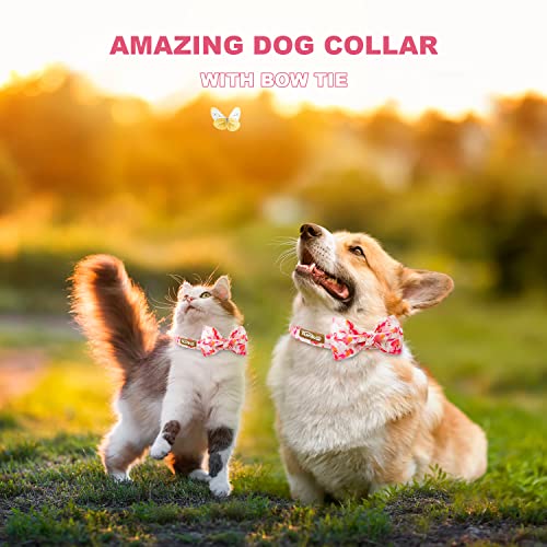 Image of Tunkoo Super Cute Dog Collar with Bow Tie Pink Flamingo Heart - Durable, Adjustable, and Stylish Pet Collar Available in Small Medium Large L