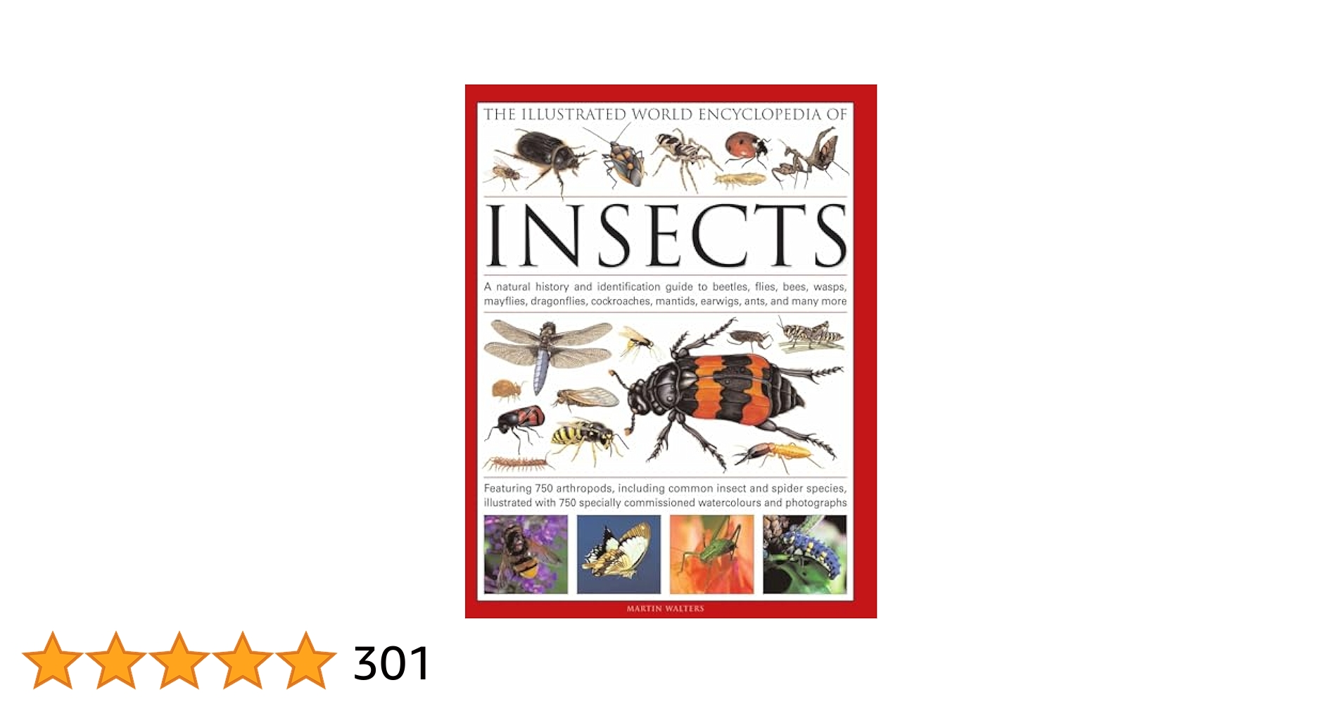 洋書　INSECTS IN FLIGHT 昆虫の飛行　大型写真集 マンディブラリスフタマタ♂67（飛翔標本） : オオクワ京都