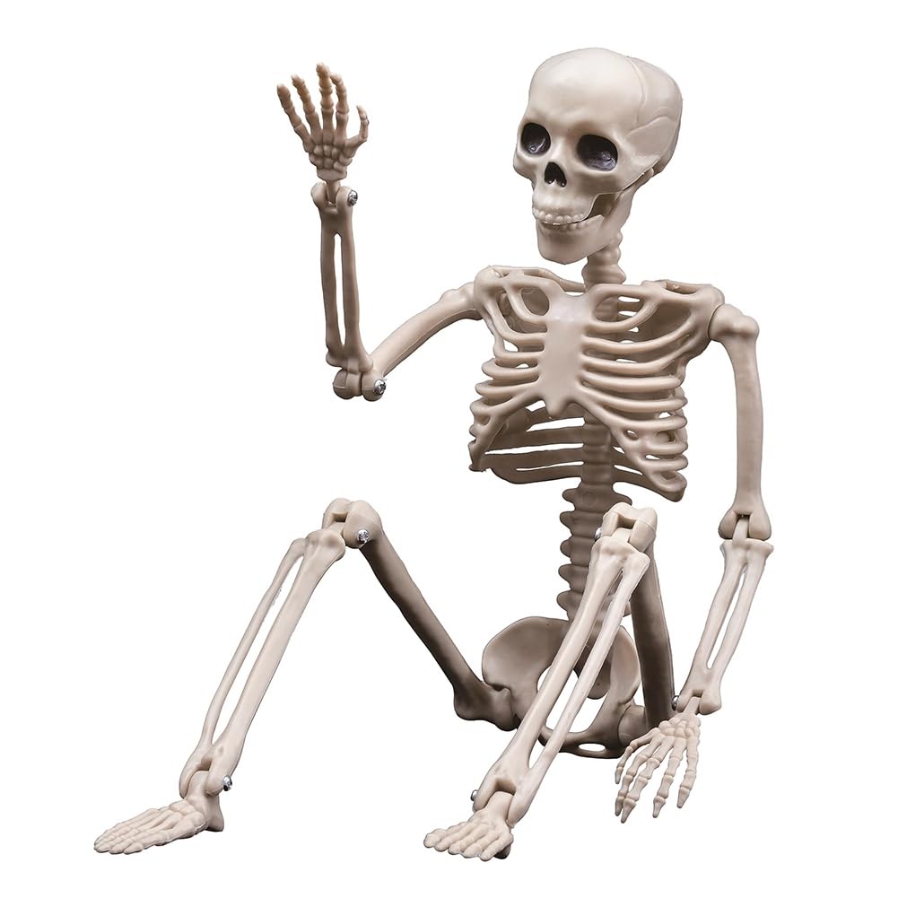 CTRLZS 1 Piece Halloween Skeletons Decorations Full Body Skeleton with Movable Joints White