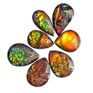 ABC Jewelry Mart Natural Ammolite lot of 7 Piece Cabochon, Multi Color Flashy, Pear Shape, Rare Ammolite, Multi-Color Flashy, Ammolite Suppliers Handmade