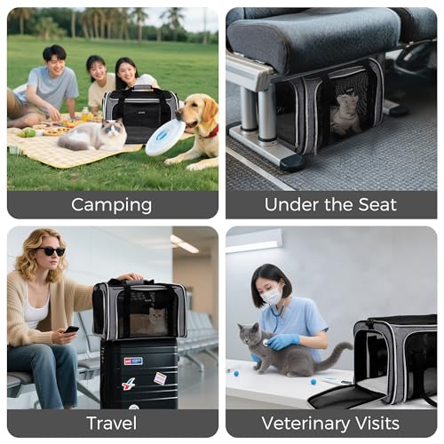 Image of BAGLHER Pet Travel Carrier, Cat Carriers Dog Carrier for Small Medium Cats Dogs Puppies, Airline Approved Small Dog Carrier Soft Sided, Collapsible Puppy Carrier. Grey