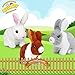 Bilinott Bunny Toys for Kids, Realistic Rabbit Toys with Jumping Action, Wiggling Ears, Twitching Mouth and Nose, Ideal Stuffed Rabbit Gift for 3+ Kids for Easter, Birthdays, Halloween, and Christmas