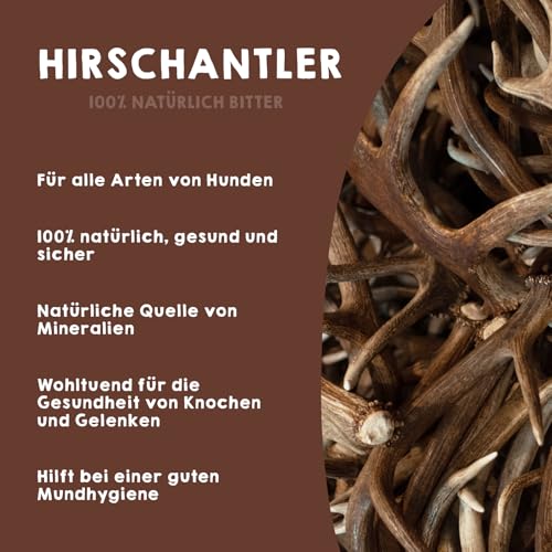 MAIKAI Packung 2 Hirschgeweih für Hunde Größe L – Natürlicher Kauknochen + Widerstandsfähig – Ideal für Mittlere Hunderassen bis 30 kg – Langlebiges Hundespielzeug
