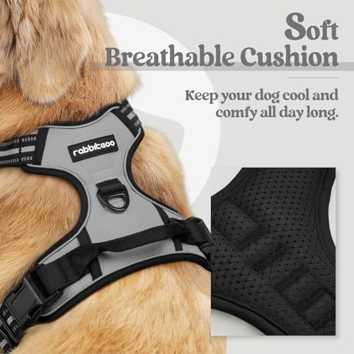 Image of rabbitgoo Dog Harness No Pull with 2 Leash Clips, Adjustable Soft Padded, Reflective Oxford No Choke Pet Vest with Easy Control Handle for Large Dogs, Grey, XL
