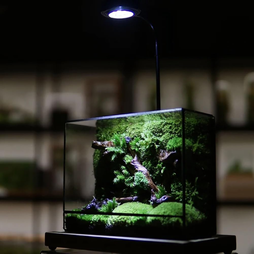 AVCULT Terrario Geométrico Hecho A Mano, Geométrico Maceta Hecha A Mano,Maceta Moderna De Cactus Suculentos, Decoración De Jardín para El Hogar Regalo (Solo Terario) (Color : 19.5 * 8 * 14.5 CM)