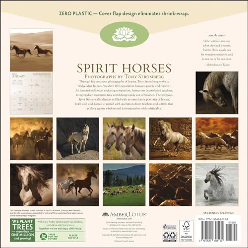 9781524891152 Spirit Horses 2025 Wall Calendar thumb #1