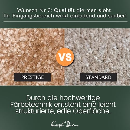 Carpet Diem Prestige Schmutzfangmatte schön und haltbar, Premium Fußmatte innen & außen - Sauberlaufmatte für Eingangsbereich, Flur & Haustür - Beige-Schwarz 40x60 cm
