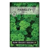 Sow Right Seeds - Curly Leaf Parsley Seed for Planting - Non-GMO Heirloom Packet with Instructions to Plant and Grow a Kitchen Herb Garden - Indoor or Outdoor - Great for Hydroponics Growing (1)