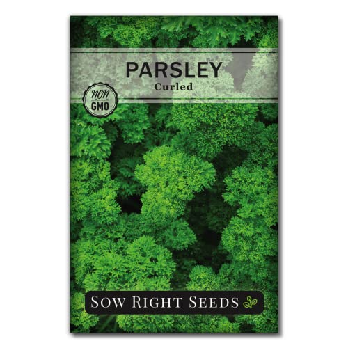 Sow Right Seeds - Curly Leaf Parsley Seed for Planting - Non-GMO Heirloom Packet with Instructions to Plant and Grow a Kitchen Herb Garden - Indoor or Outdoor - Great for Hydroponics Growing (1)