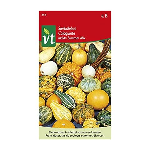 Ornamental Gourds Small fruited Mix Seeds Cover