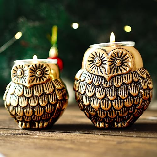 BEHOMA Aluminium Owls with Votives Set of Mother and Child | Statue for Home Decor Tabletop Living Room | Candle Holder Gift Showpiece for Mothers Day, Birthday, Anniversary | Votives Candle Included 9 51gPtHMTkKL
