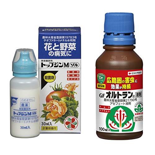 yZbgz ZFw| Eۍ ƒ뉀|pgbvWM] 30ml & E GFIgt 100ml