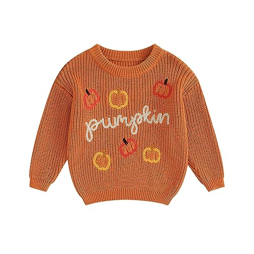 Image of Karwuiio Toddler Baby Girl Boy Knit Sweater Round Neck Long Sleeve Pullover Sweatshirt Fall Winter Clothes