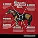 REDMOND - Rock on a Rope Unrefined Salt Rock for Horses 3 to 5 lbs (3 Pack)