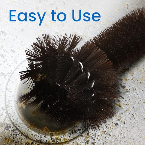 Brosse broyeur d'ordures élimine résidus et odeurs évier