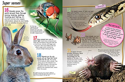 100 Facts Animal Life- Survival, Adaptation, Animal Kingdom, Educational Projects, Fun Activities, Quizzes and More! - Image 4