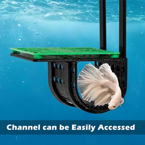 Image of Betta Fish Tunnel, Betta Ledge Aquarium Hideout Cave, Fish Tank Decoration