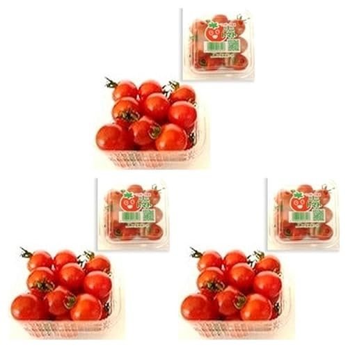 ې ~jg}gM (Y) 200G×3pbN (܂Ƃߔ) (VandroSt)