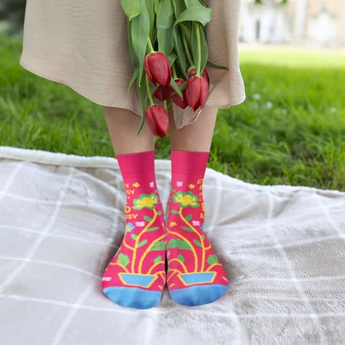 Image of Funny Socks for Women and Teenage Girls, Cute Crazy Unique Novelty Gifts