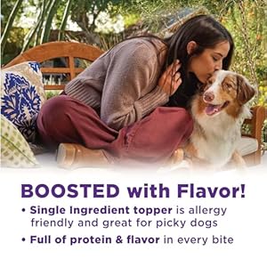 Wellness core naked bowl boosters for canine grain free freeze dried meals mixer or topper made with pure components turkey 4 ounce bag   cucciolini doodles