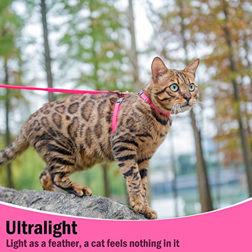 PUPTECK Adjustable Cat Harness and Leash Set Escape Proof Kitten Strap Collar for Walking Travel, Hot Pink - Image 6