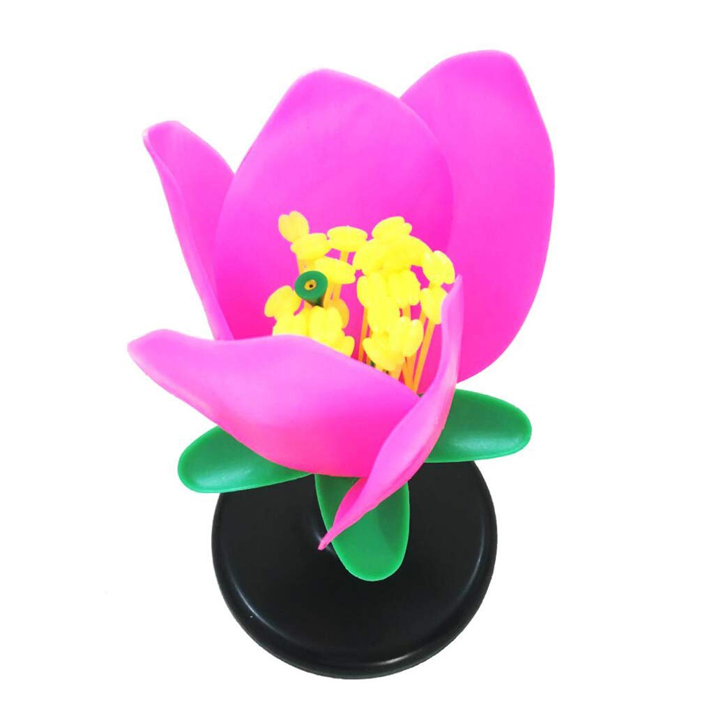 Sjdopulse Peach Flower Model - Plant Anatomical Model - Detachable Plant Flowers Model -For High School Biology Science And Educational Instrument Research Teaching Demonstration Mode