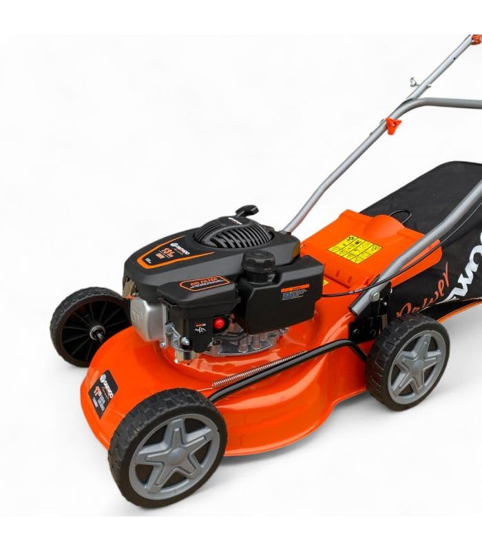 Tondeuse Thermique poussée 131cc 41cm de Largeur de Coupe DAEWOO DLM4300HP