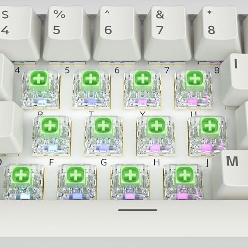 Image of Kailh Box Jade Switches for Mechanical Gaming Keyboard,3-Pin 50gf Clicky /lubed /Dust&Waterproof Switches(108Pcs,Kailh Box Jade)