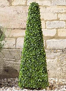 Artificial Topiary Boxwood Obelisk Tree, Stylish Boxwood Plant, Faux 60cm Shrubbery for your Garden Outdoor Area Patio or Lounge or Conservatory