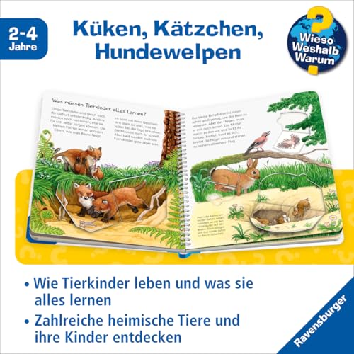 Wieso? Weshalb? Warum? junior, Band 15 - Unsere Tierkinder (Sachbuch ab 2 Jahre - mit Klappen) (junior, 15)