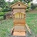 Galbuiska Beehive Nuc Box, Auto Beehive, Cedarwood Bee Hive with 4pcs Auto Honey Frames,6pcs Brood Frames, 1pcs Bamboo Queen Excluder, Easy Assembly Ideal for Beginners