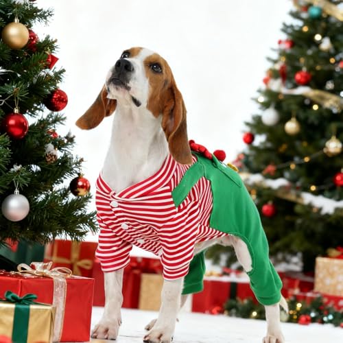 Disfraz Navideño para Perro Pezluxe Verde Small miniatura 5