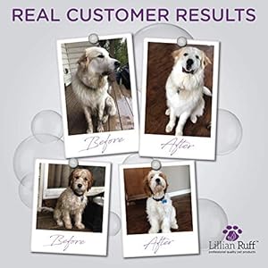 Lillian Ruff Ultra-Brightening Professional Whitening Shampoo for Dogs with Aloe & Coconut Oil for Dry Skin & Itch Relief – pH-Balanced Dog Whitening Shampoo Remove Stains, Yellowing, & Odor (Gallon)