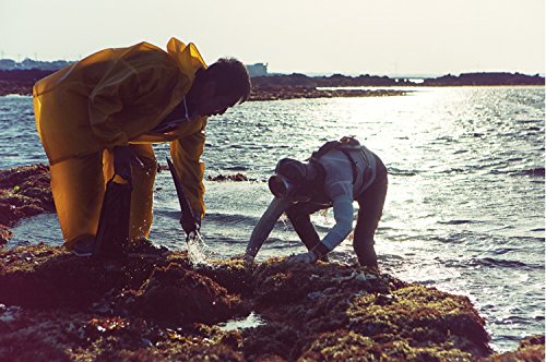 Delimam Organic Agar Agar Powder 3.53Oz Vegetable Gelatin Dietary Fiber #TOP3