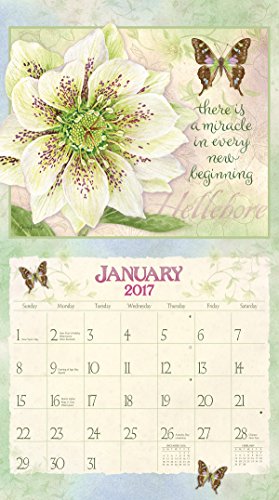 Lang 2017 Botanical Inspiration Wall Calendar, 13.375 X 24 Inches (17991001896) #TOP4