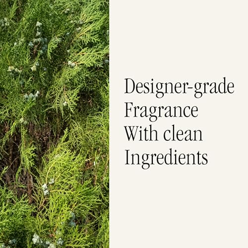 Image of Pura x Tommy Bahama Home Diffuser Refill, 2 Pack, Evergreen