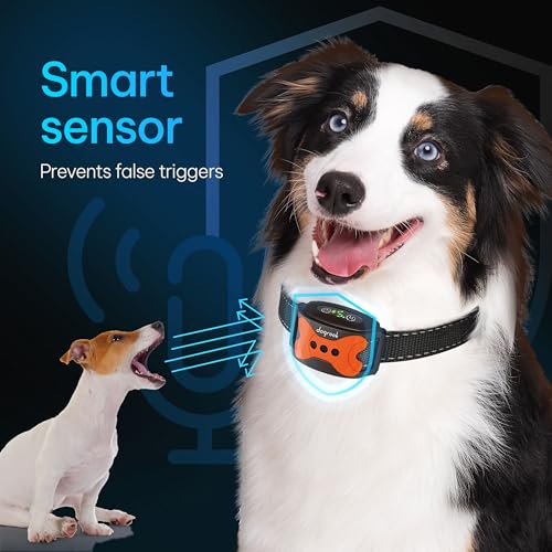 Image of DogRook Rechargeable Dog Bark Collar | Smart Collar for Dog Training | Beep & Vibration | No Shock | No Bark Collar | Anti Bark Collar for Dogs | Anti Barking Collar for Dogs - Large, Medium, Small