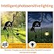 Solarbetrieben Schwarze Katze Fischen Licht, Garten dekorative Eisen Kunst niedliche Katze Fischen Bodenlicht, drahtlose Dämmerung zur Morgendämmerung LED Landschaftslampe wasserdicht.