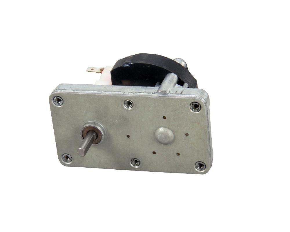 Amazon.com: True 800431 Motor Gear, #198431 X 9364 : Appliances