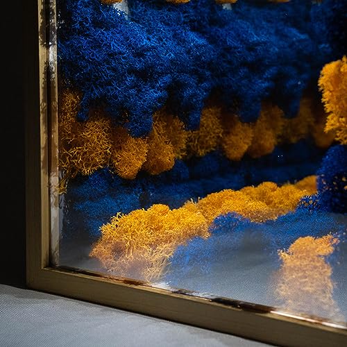 3D Infinity Mirror Light Moss, LED Night Light 3D