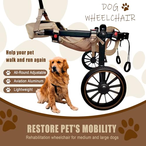 Silla de ruedas para perros con movilidad reducida y ruedas duraderas 3