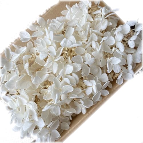 vU[uht[ s~bhAWTC ItzCg 