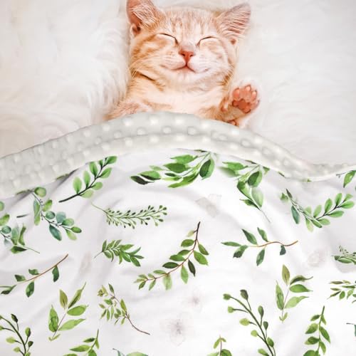 Image of BORITAR Floral Leaf Baby Blanket for Boys Girls Super Soft Double Layer Minky with Dotted Backing for Nursery Stroller Crib Bed Newborns Spring Summer Fresh Design 30 x 40 Inch(75x100cm)