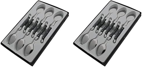 Pradel Excellence - Laguiole - Boîte de 6 Cuillères à Café - Acier Inoxydable - Mitre Inox - Manche Gris Marbré - Présentation en Boîte Vitrine - Dimensions 26 x 16 x 2,5 cm (Lot de 2)