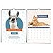Produktbild heaven+paper Tierkalender 2022 - der lustige A4 Wandkalender für Tierliebhaber von Alpaka, Hase, Katze, Lama und Hund für Erwachsene und Kinder