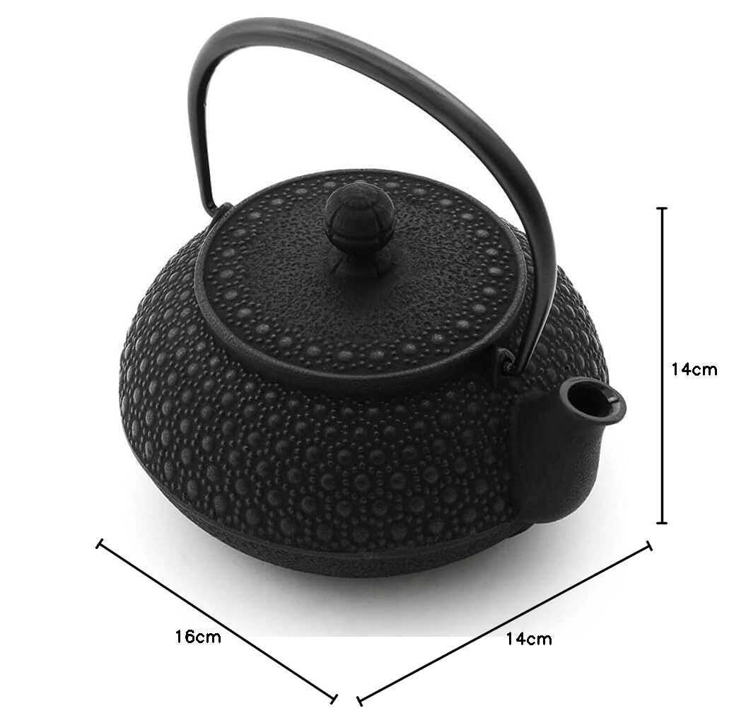 Iwachu Teekanne Gusseisen. Japanische Kyusu Kikko Original, Schwarz 650ml, 0,65 Liter Sieb-Einsatz Edelstahl. Innen Emailliert