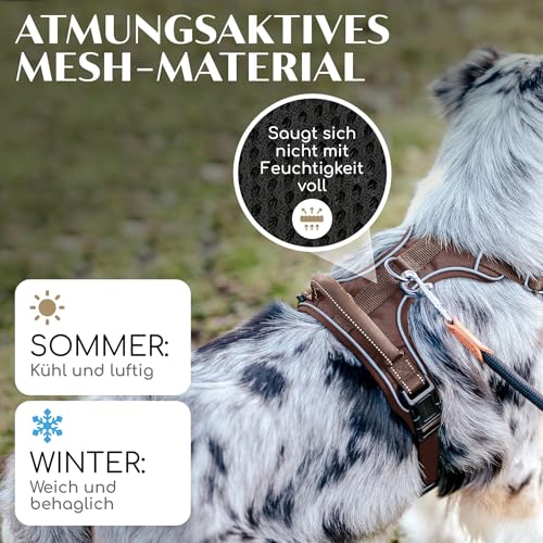 FREUDENTIER Hundegeschirr mit Griff, atmungsaktiv gepolstert - Bombenfester Sitz & maximale Sicherheit - Anti Zug Hundegeschirr kleine, mittelgroße & Grosse Hunde - Hunde Geschirr (Braun, XL)