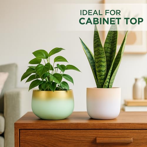 Image of Urban Plant Terracotta Pot - Trendy Planter for Modern Home & Garden Spaces (Terracotta Bliss - Set of 2)