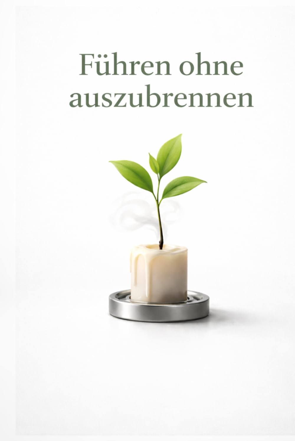 Führen ohne auszubrennen: Burnout-Prävention & Stressmanagement für Führungskräfte: Grenzen setzen, Energie zurückholen, resilient bleiben – mit praxiserprobten Routinen