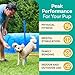 PetCove Dog Agility Obstacle Course Set for Backyard Training and Jumps - Dog Agility Course Backyard Set for Training Sessions & Competitions - Exercise Equipment with Tunnel